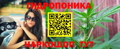 стафф Кандалакша