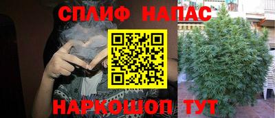 mdma Кудрово